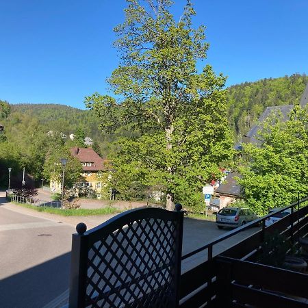 Haus Sonne Apartman Todtmoos Kültér fotó