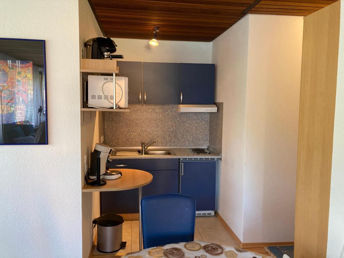 Haus Sonne Apartman Todtmoos Kültér fotó