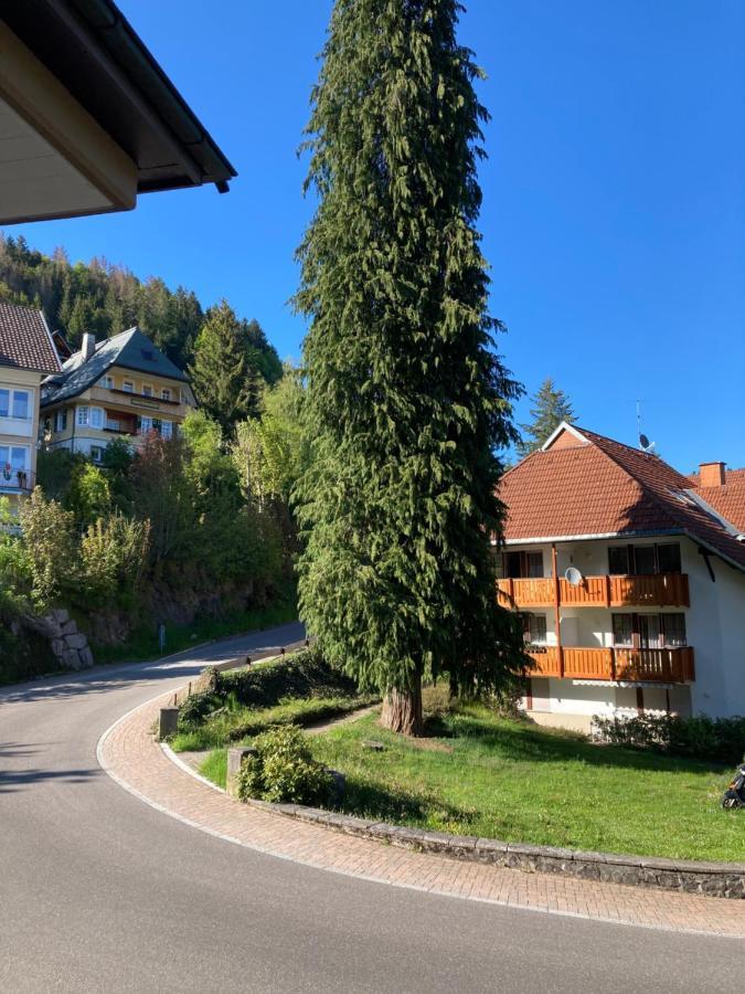 Haus Sonne Apartman Todtmoos Kültér fotó