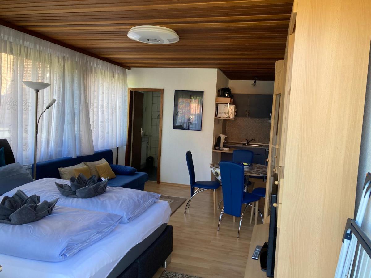 Haus Sonne Apartman Todtmoos Kültér fotó
