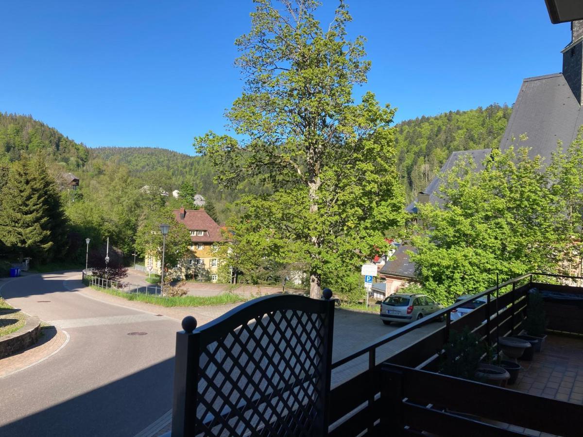 Haus Sonne Apartman Todtmoos Kültér fotó
